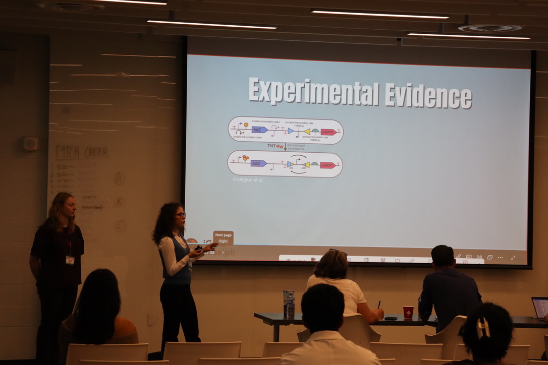 experimentalevidence